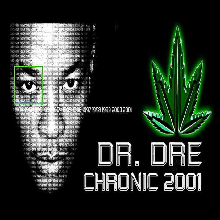 the chronic 2001 album
